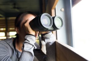 prowadzenie obserwacji osób